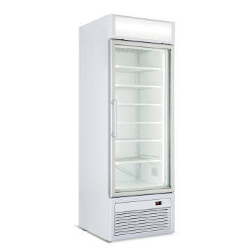 ALPI - Armoire négative 1 porte